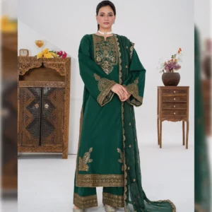 Green attire- 3 piece stitched suit