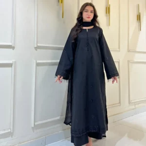Jet Black-3 piece stitched outfit